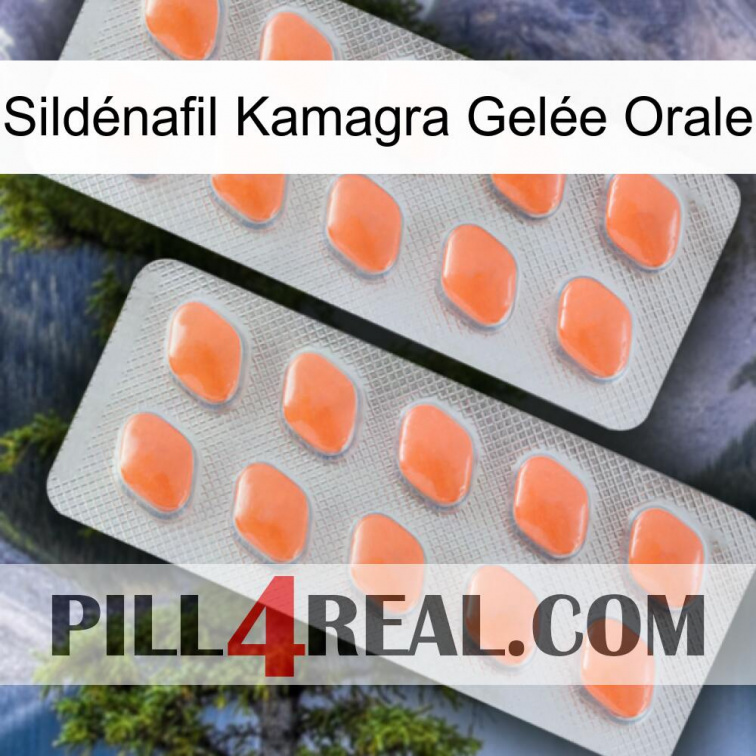 Sildénafil Kamagra Gelée Orale 27